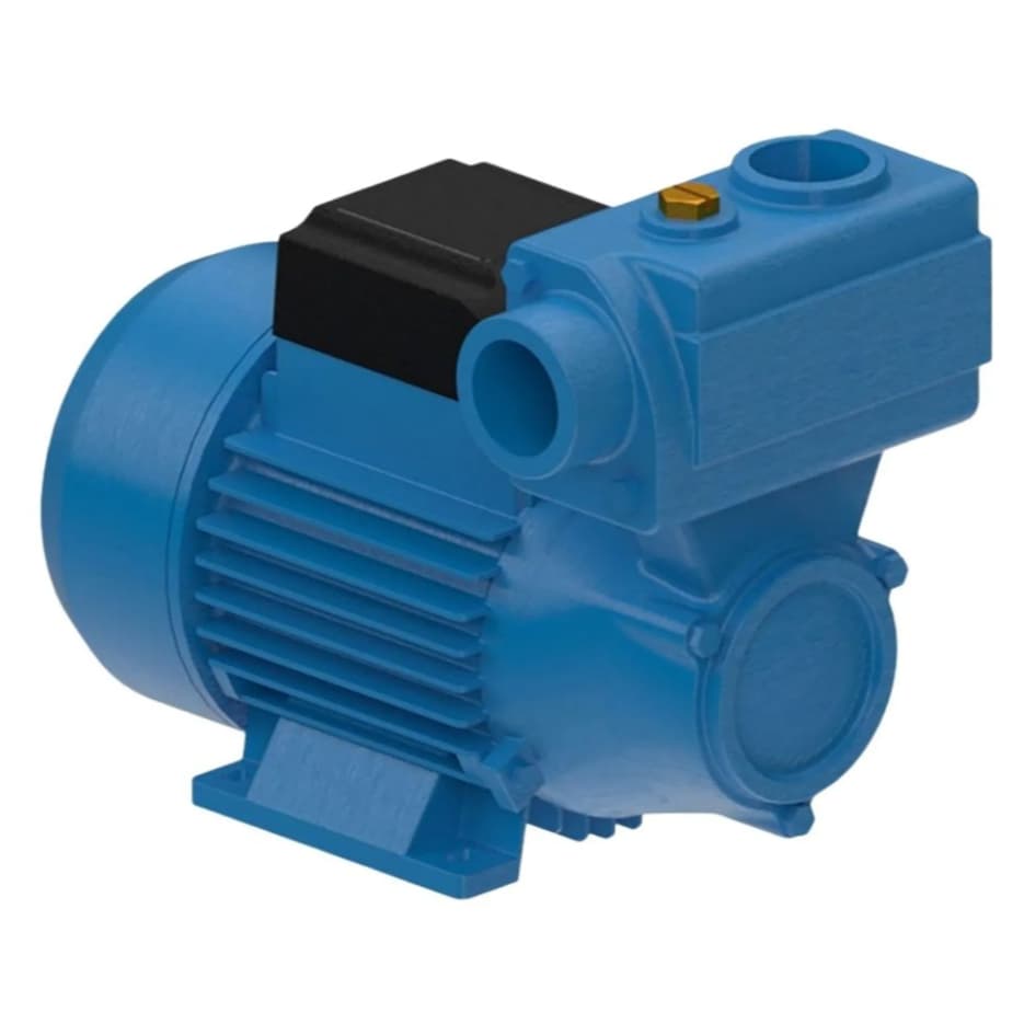 Bomba de Água Auto Aspirante DPA-40 Monofásica 1/2CV 127/220V Dancor