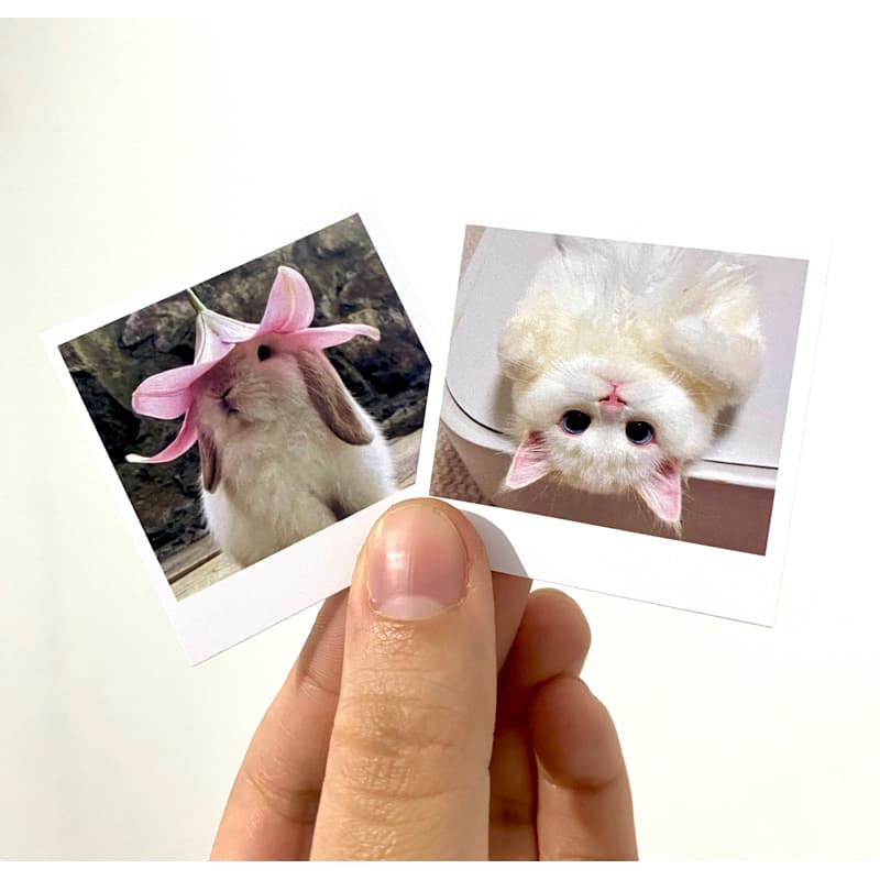 Mini Foto com borda 5x5 - Alta qualidade