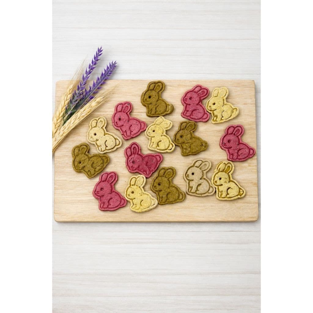 Petisco de aveia para coelhos e roedores - 15 unidades coelho 4cm.