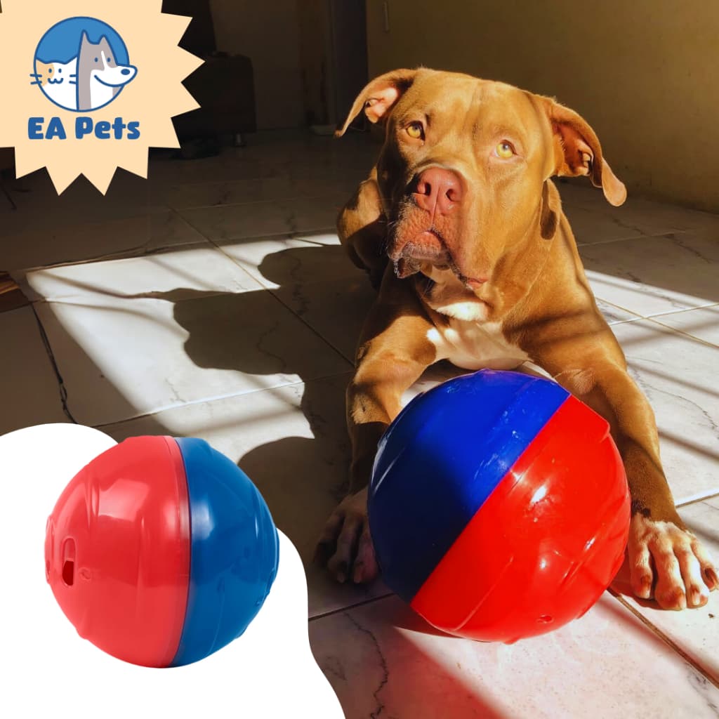 Brinquedo Comedouro Da Pet Games Pet Ball Para Cão Usar Com Ração E Petiscos Cachorro Intuitivo