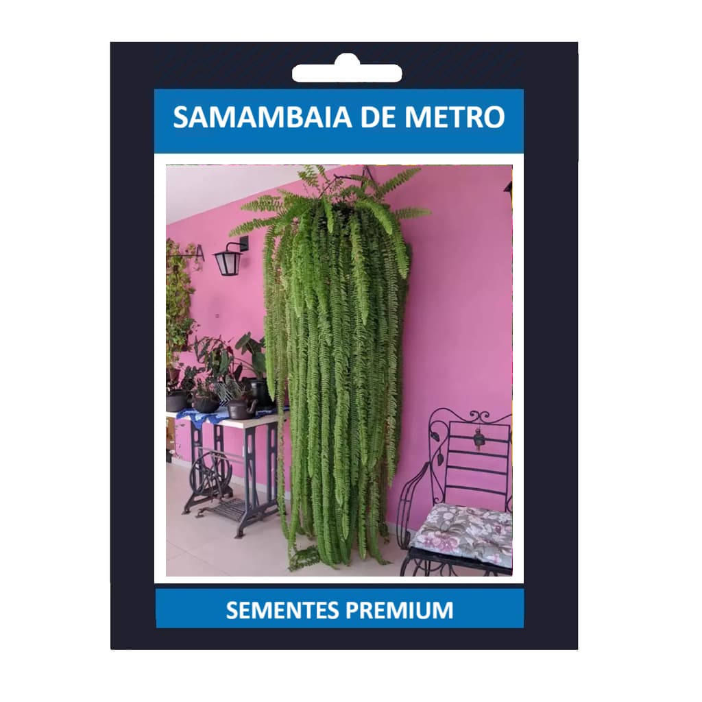 PROMOÇÃO 50 Sementes Samanbaia De Metro Premium + MANUAL DE CULTIVO