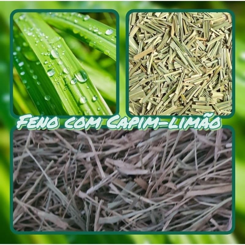 FENO COM CAPIM-LIMÃO TIFTON85 500G