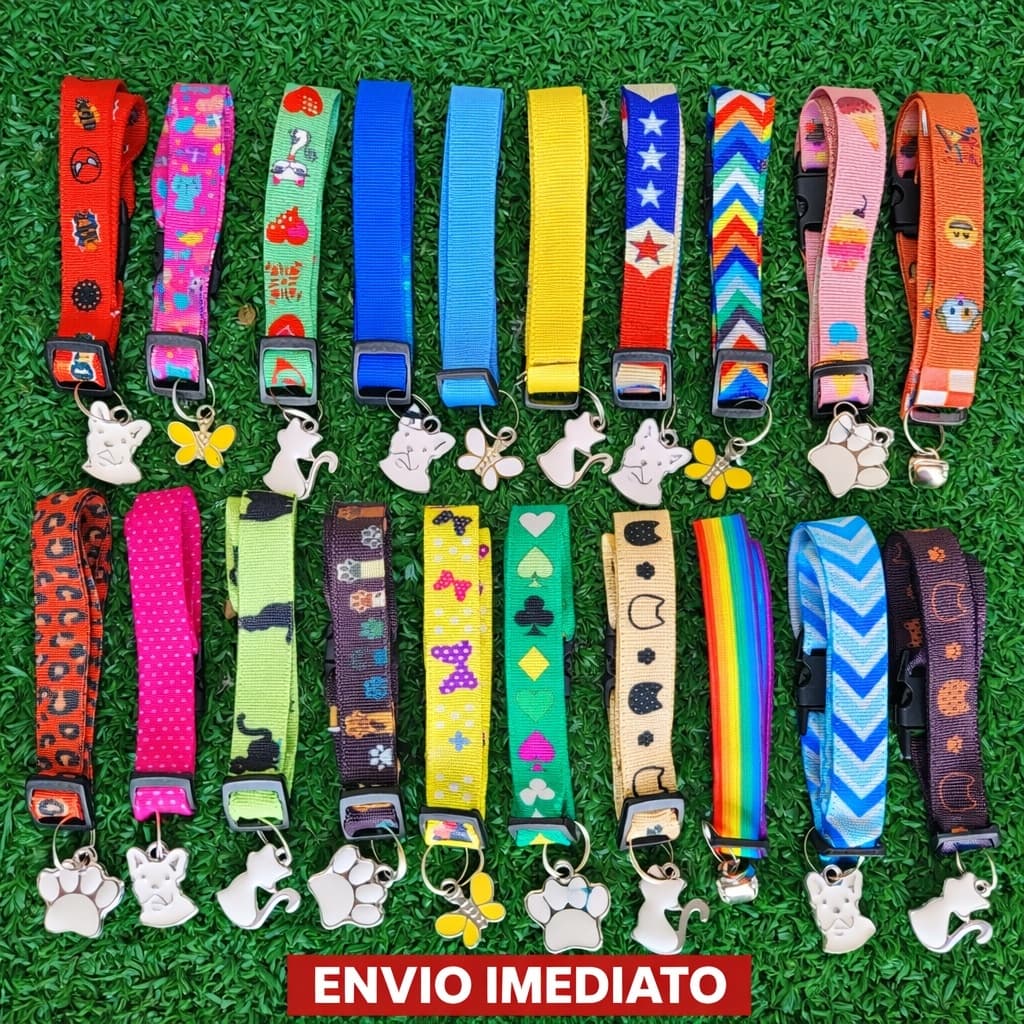 Coleira para gato e cachorro (porte pequeno) com pingente