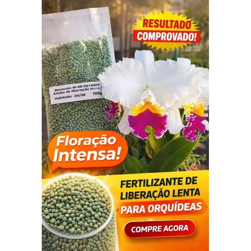 Adubo Basacote 16-08-12(+2) 100g Liberação Lenta 6M p/ Orquídeas e Plantas | Floração Intensa