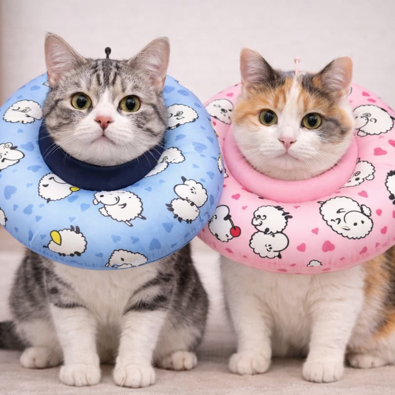 COLAR ELIZABETANO ALMOFADADO CONFORTAVEL FOFINHO PARA GATOS E CAES