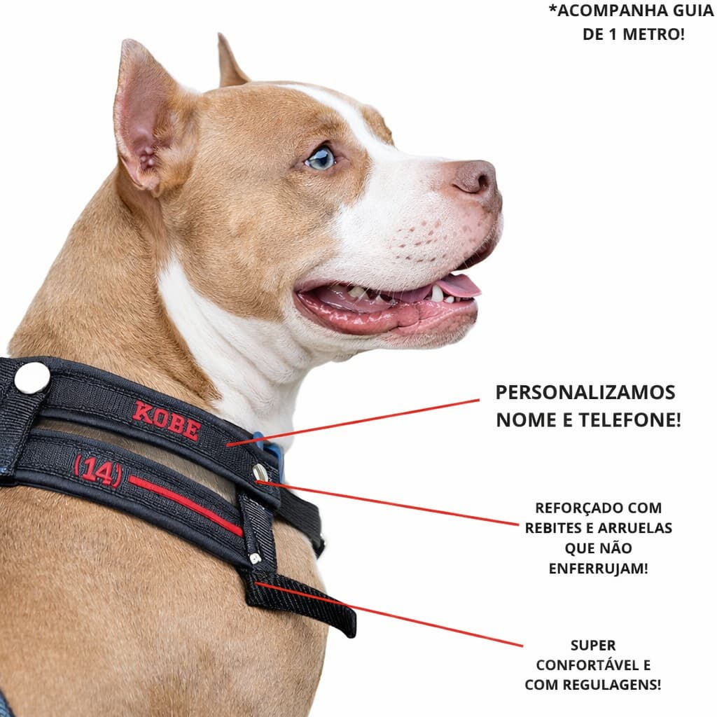Coleira de cachorro colocamos nome do seu cão ou nome + telefone escolha tamanho vai com guia