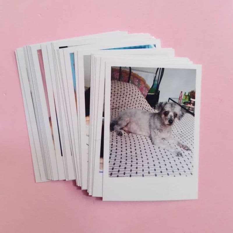 Fotos estilos Paraloid ( impressão de fotos)