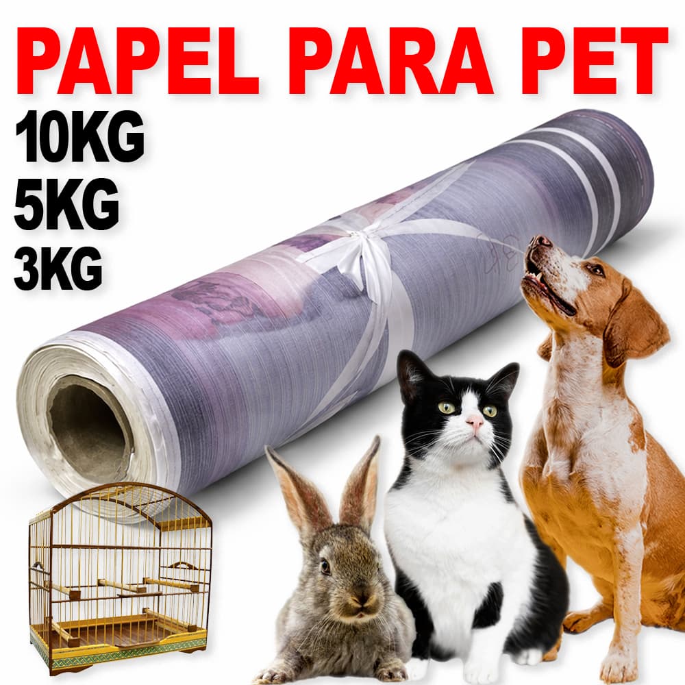 Papel Descartável Jornal - Pets, Cães, Gatos, Pássaros - GRANDE 66x96cm