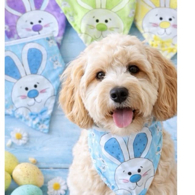 Kit 100, 80, 70, 40 pet, Bandana para cães, Bandana Pascoa  Banho e tosa