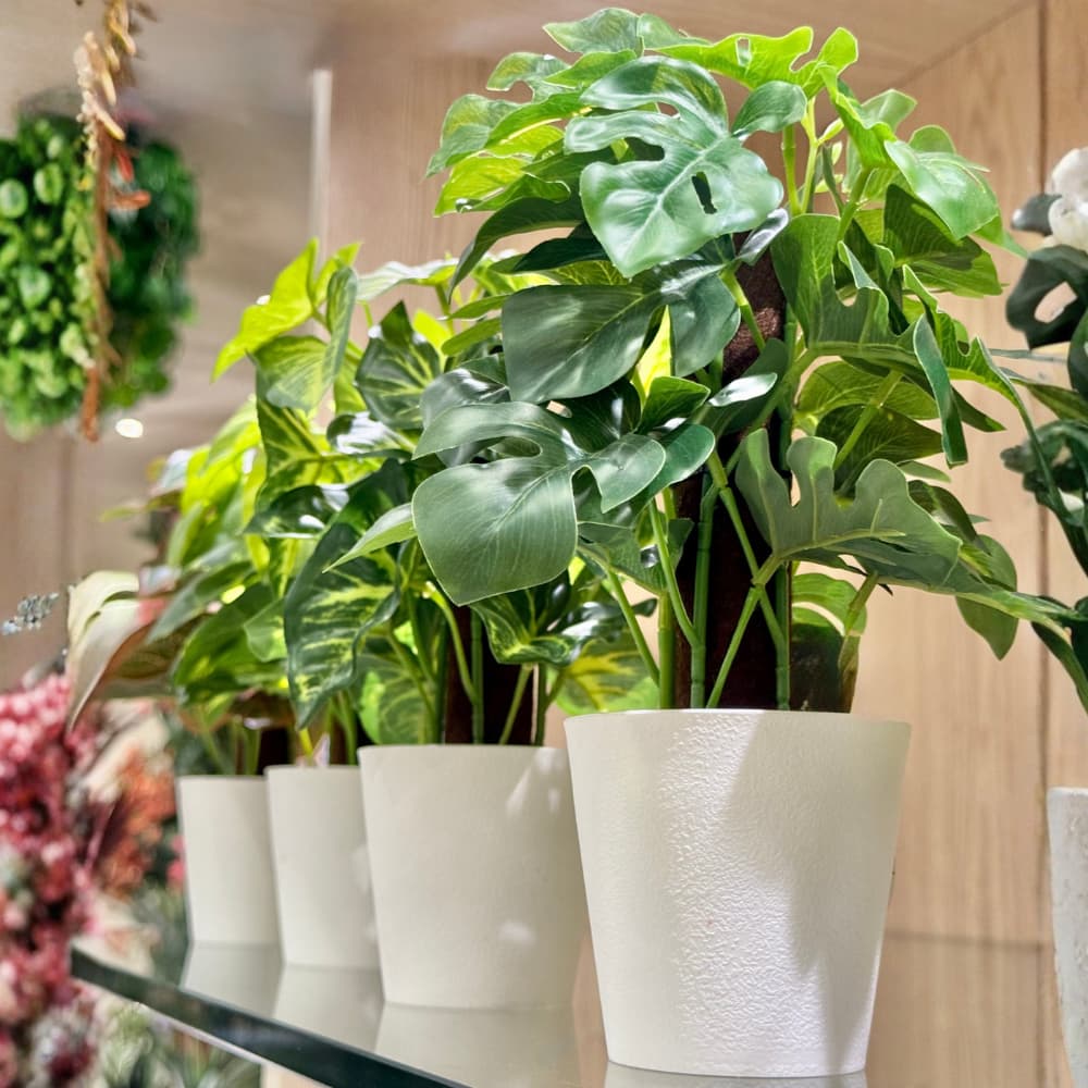 Planta Artificial Vaso Toque Real Decorativa Zamioculca, Orelha de Gato, Jibóia, Costela de Adão, Guaimbê, Nervura 16x24