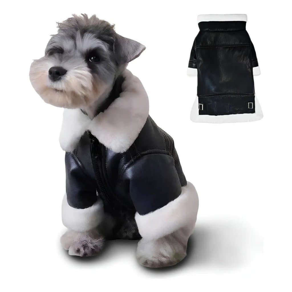 Jaqueta de Couro Falso Sintético Corino para Cachorros Estilo Rock Moda Estimação Tamanho XS