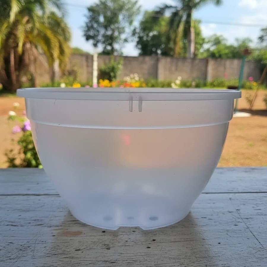 2 Vasos Para Orquídeas Cuia 25 de 3,3 Litros Transparente Plantas Flores