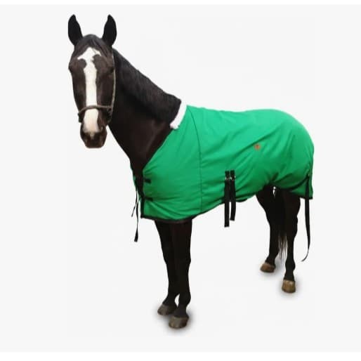 Holy Horse Capa de frio para cavalo