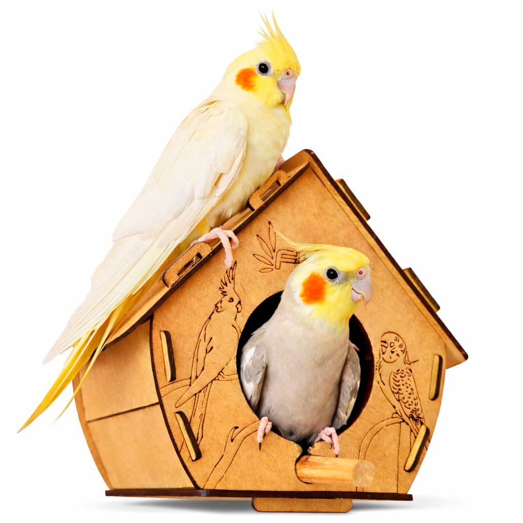 Casinha para calopsita periquito agapornis passarinho pistacideos