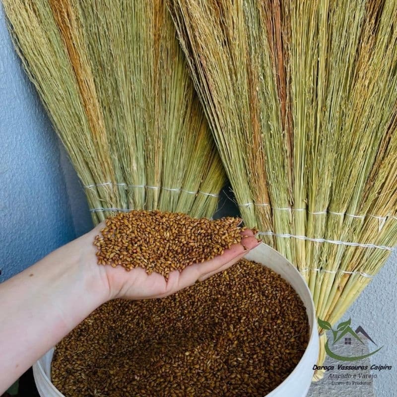 Semente de Vassoura Caipira – Pacote 500g