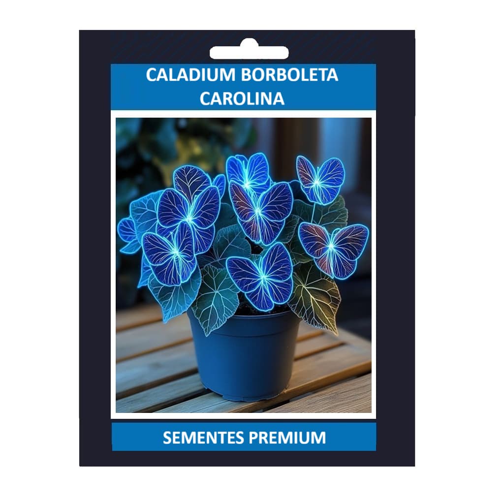 Caladium Borboleta Coralina – 100 sementes com manual de cultivo