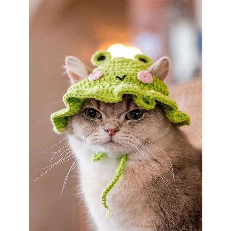 Chapéu para gato em crochê de sapo - Chapéu para pet