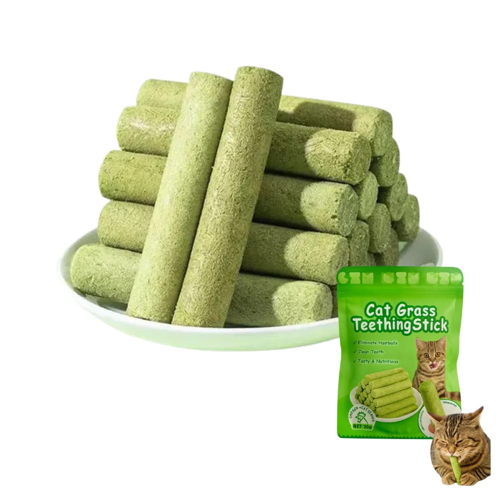 Palitos De Grama Para Gatos Mastigar Cuidados Com Os Dentes Aumentar O Apetite Bola De Pêlo