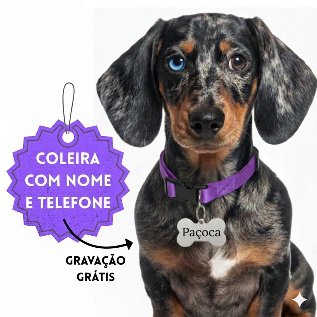 Coleira para Cachorro Pequeno e Médio com Nome e Telefone Personalizada