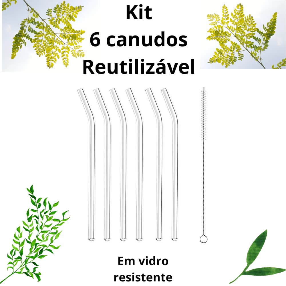 Kit 6 Canudos de Vidro Reutilizável + Escova de Limpeza | Sustentável, Resistente e Fácil de Limpar