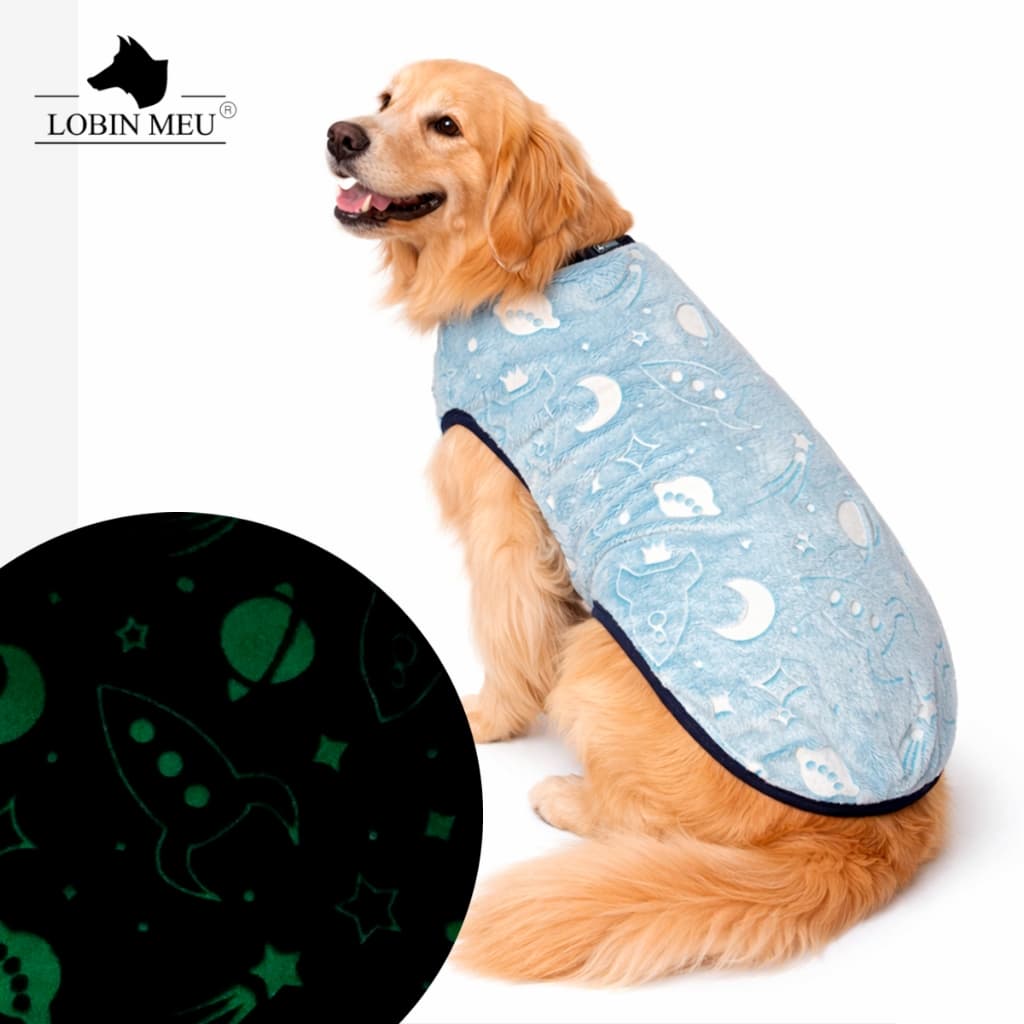 Roupa pet para cachorros brilha no escuro