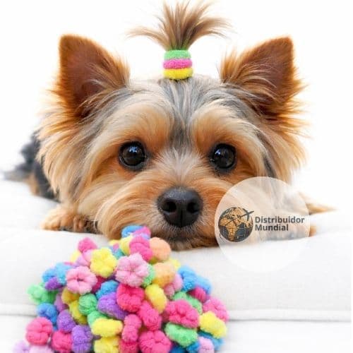 Kit 50 Xuxinha Pet Colorida Com Bolsa Banho e Tosa Elástico Laço Rabicó Cachorro Acessórios Shit zu Yorkshire Maltêz