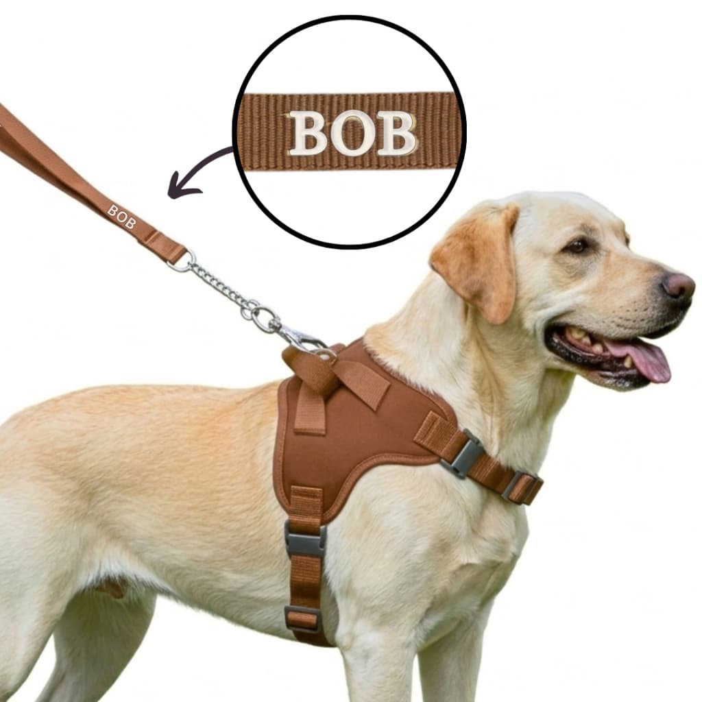Coleira Pet Personalizada com Nome Peitoral para  Cachorros Grandes Regulável +Guia