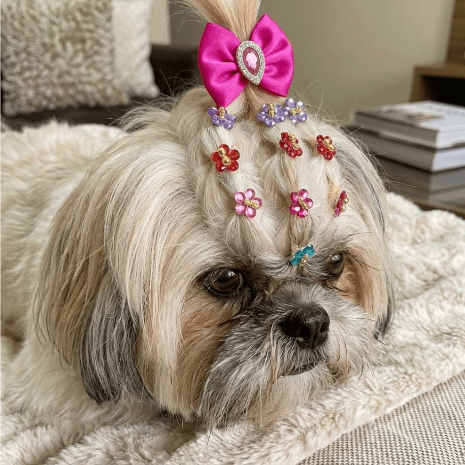 50 Laços Pet Para Penteado Com Elástico Flor Chatins Florzinha Com Perola Banho E tosa