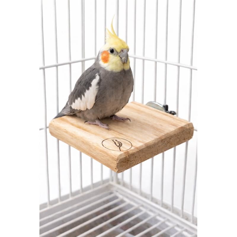 Kit  com 2 Poleiros plataforma de descanso  9x10cm Não Tóxico para calopsita, Pássaros em geral Gaiola Viveiro