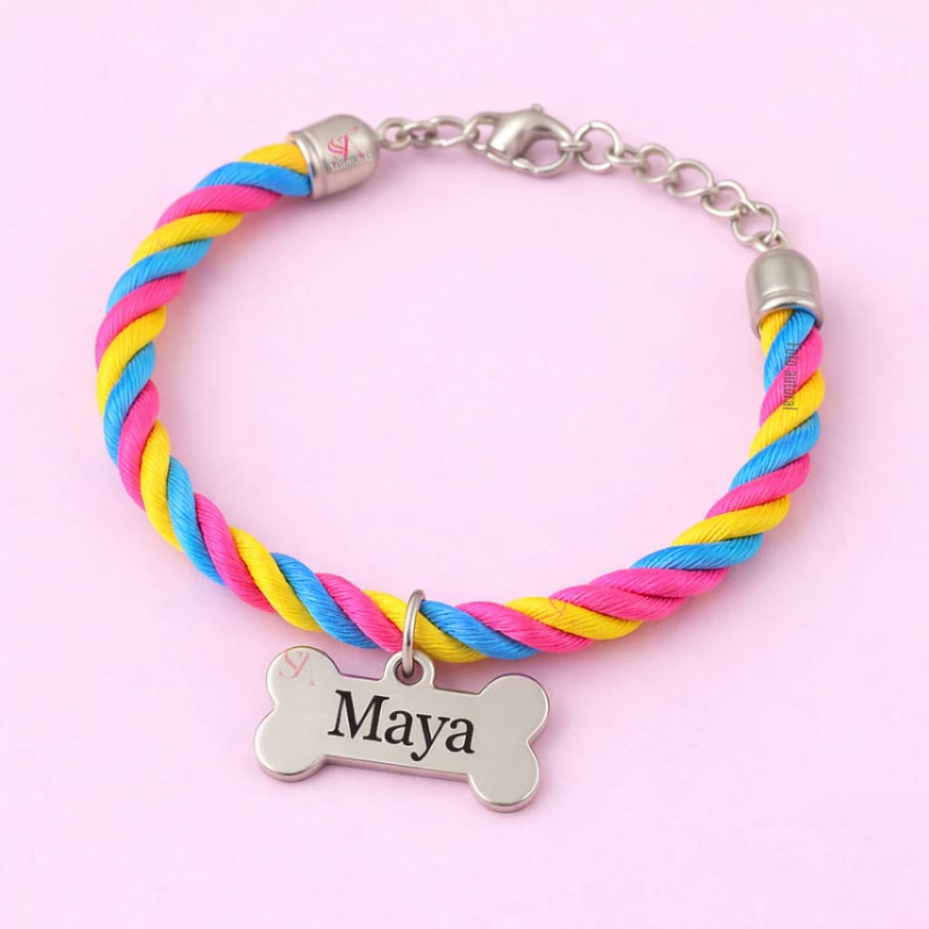 Placa de Identificação Pet Inox com Coleira Plaquinha Pingente personalizada Cachorro Cão Gato B9