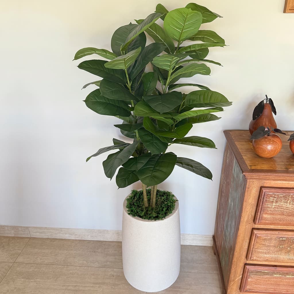 Ficus Lyrata Planta Arvore Artificial Toque Real Realista Decorativa Não Acompanha Vaso