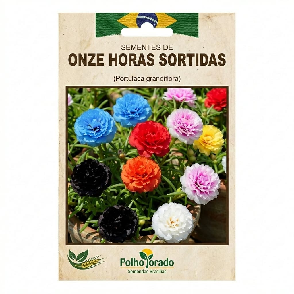 sementes de onze horas , cores sortidas