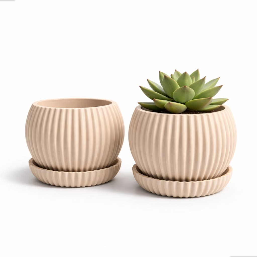 Vaso Suculenta Com Prato Decorativo para Plantas Naturais Moderno Pequeno Minimalista