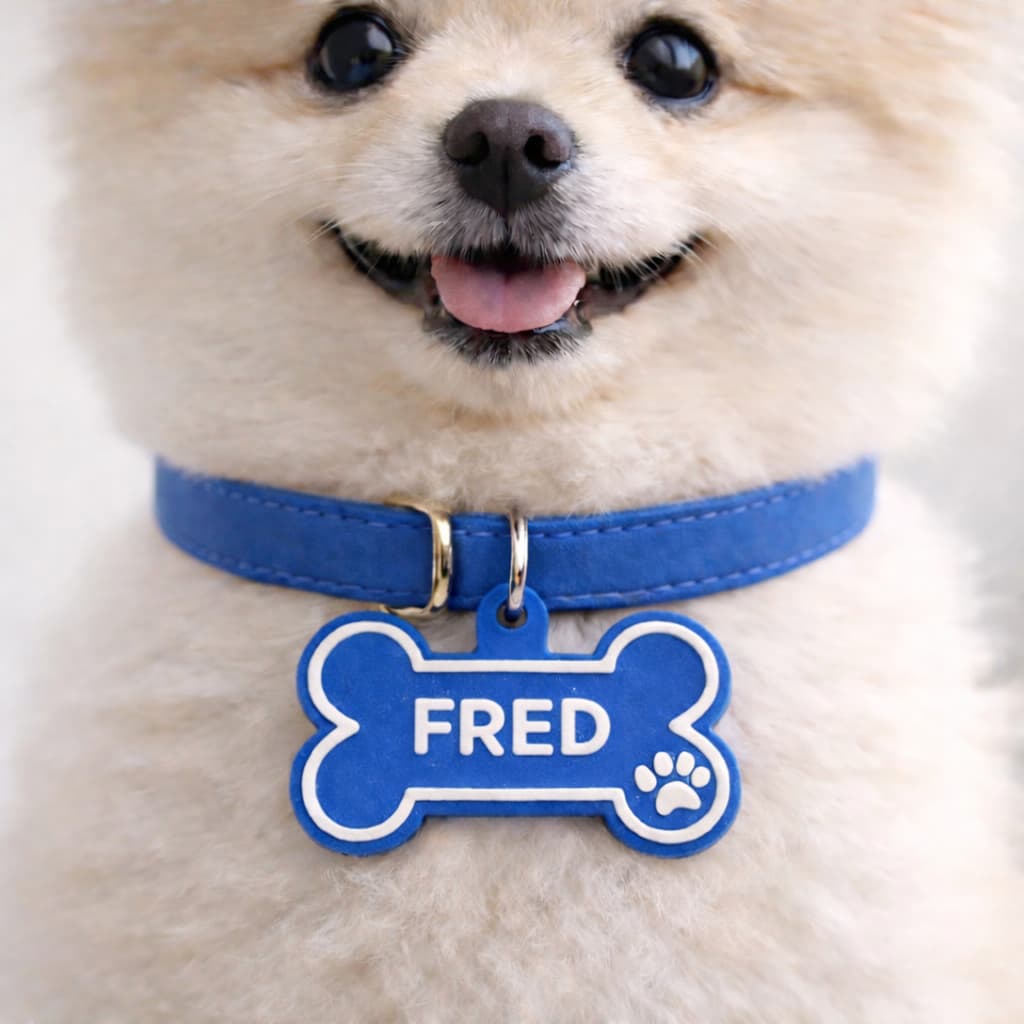 Plaquinha de Identificação para Cachorro com Nome e Telefone Personalizado