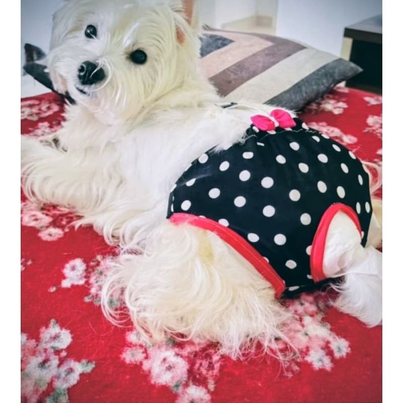Calcinha Pet Tapa Fraldas c/Suspensório para Macho e Fêmea