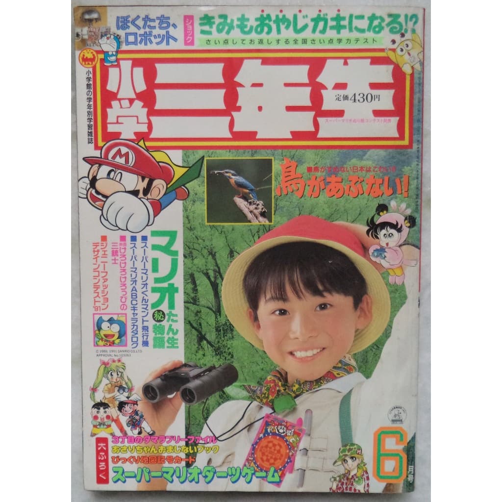 Revista Japonesa Shōgaku Ichinensei - Ricamente Ilustrada