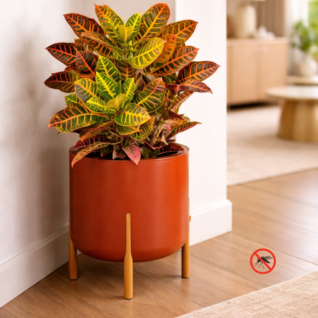 Vaso de Flor Grande Premium 16L Cachepô Fênix Anti-Dengue de plástico com Pé Madeirado