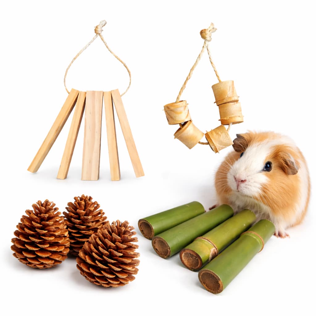 Kit Brinquedos Naturais para Roedores Hamster Porquinho da Índia Coelho Madeira Pinus Bambu Pinha