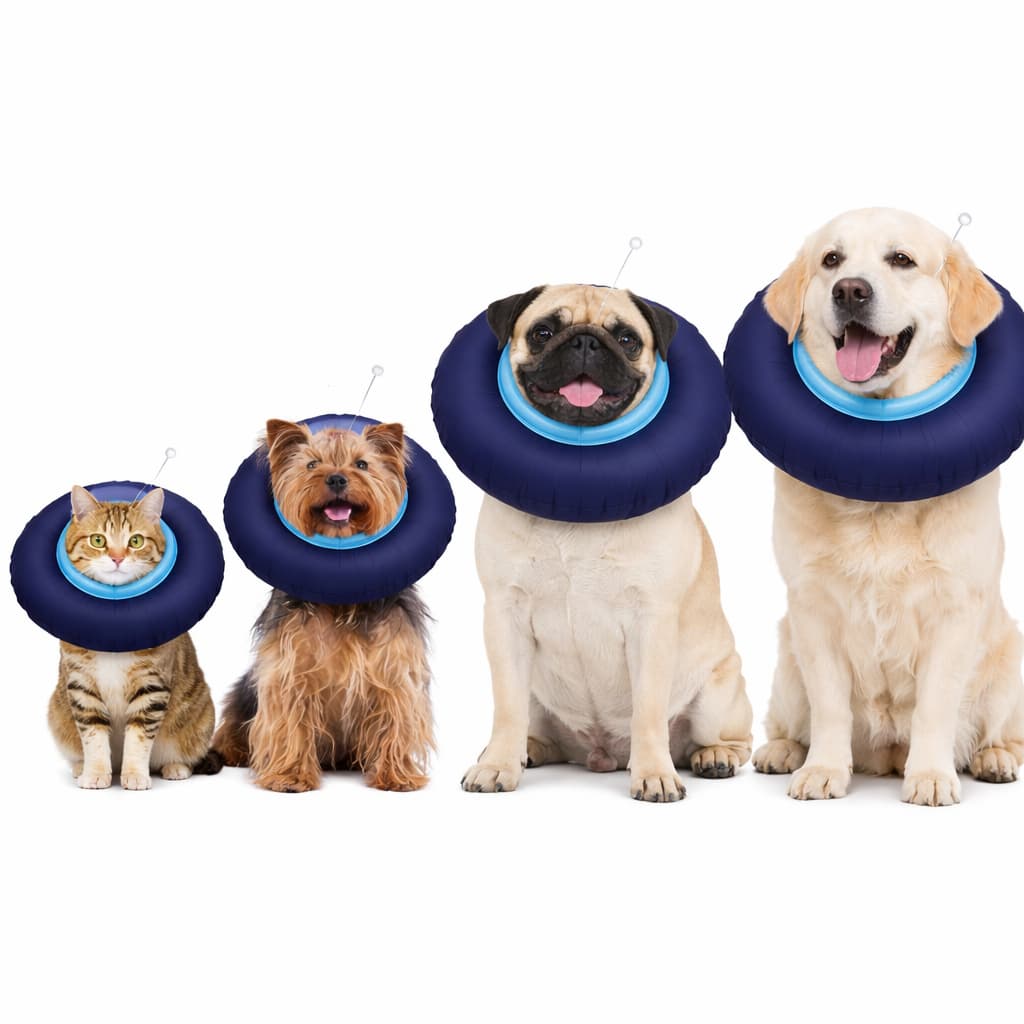 COLAR ELIZABETANO ALMOFADADO CONFORTÁVEL FOFINHO PARA GATOS E CÃES