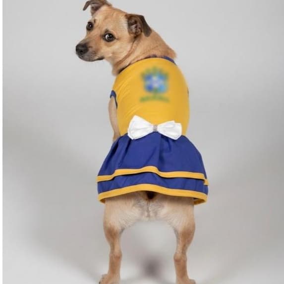 Vestido Pet Brasil Roupinha Da Copa 2026 Para Cachorro Roupinha Do Brasil Para Cachorro