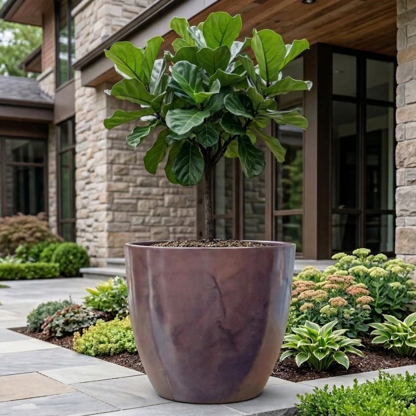 Vaso Grande Para Plantas Feito De Polietileno Versão Luxo Decoração Para Casas, Empresas , Jardim 42 x 49 Bojo Liso 3