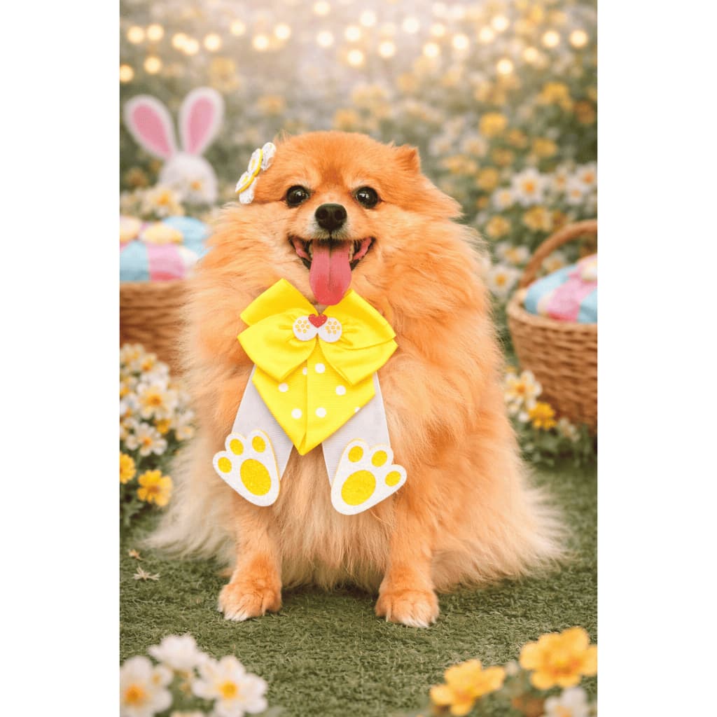 Orelhinha Pet Elegante - Estampas Vibrantes e Duráveis com elastico atrás Pascoa