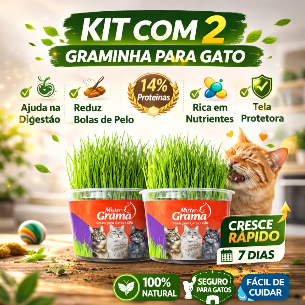 Grama Para Gato Mister C/ 2 Unidades – Auxilia na Digestão e Bola de Pelo / Fácil de Plantar