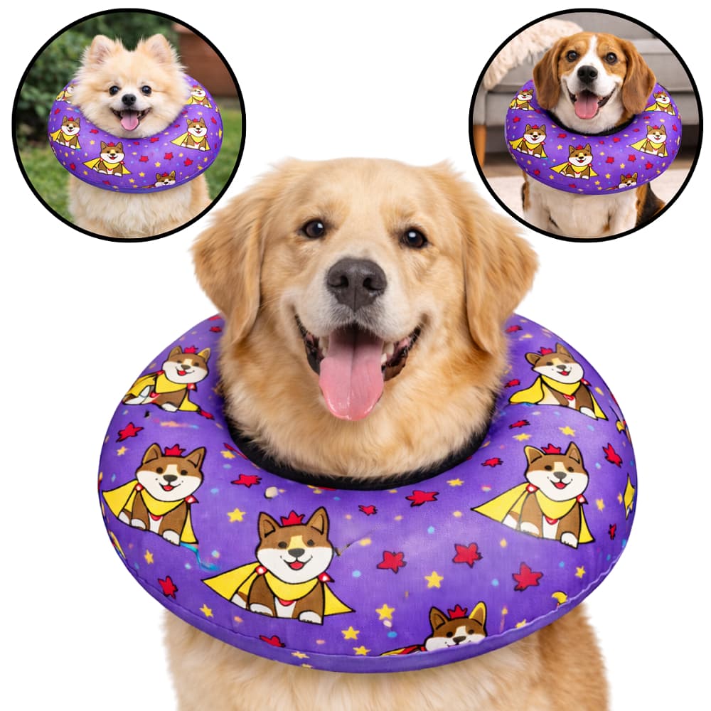 Colarelizabetano Cone Colar Elizabetano para Cachorro Cão Gato Pós Cirugico Ajustável