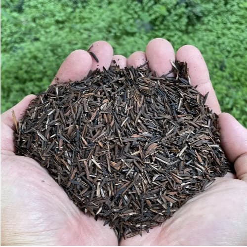 Casca de Arroz Carbonizada - Substrato Orgânico 50 Litros