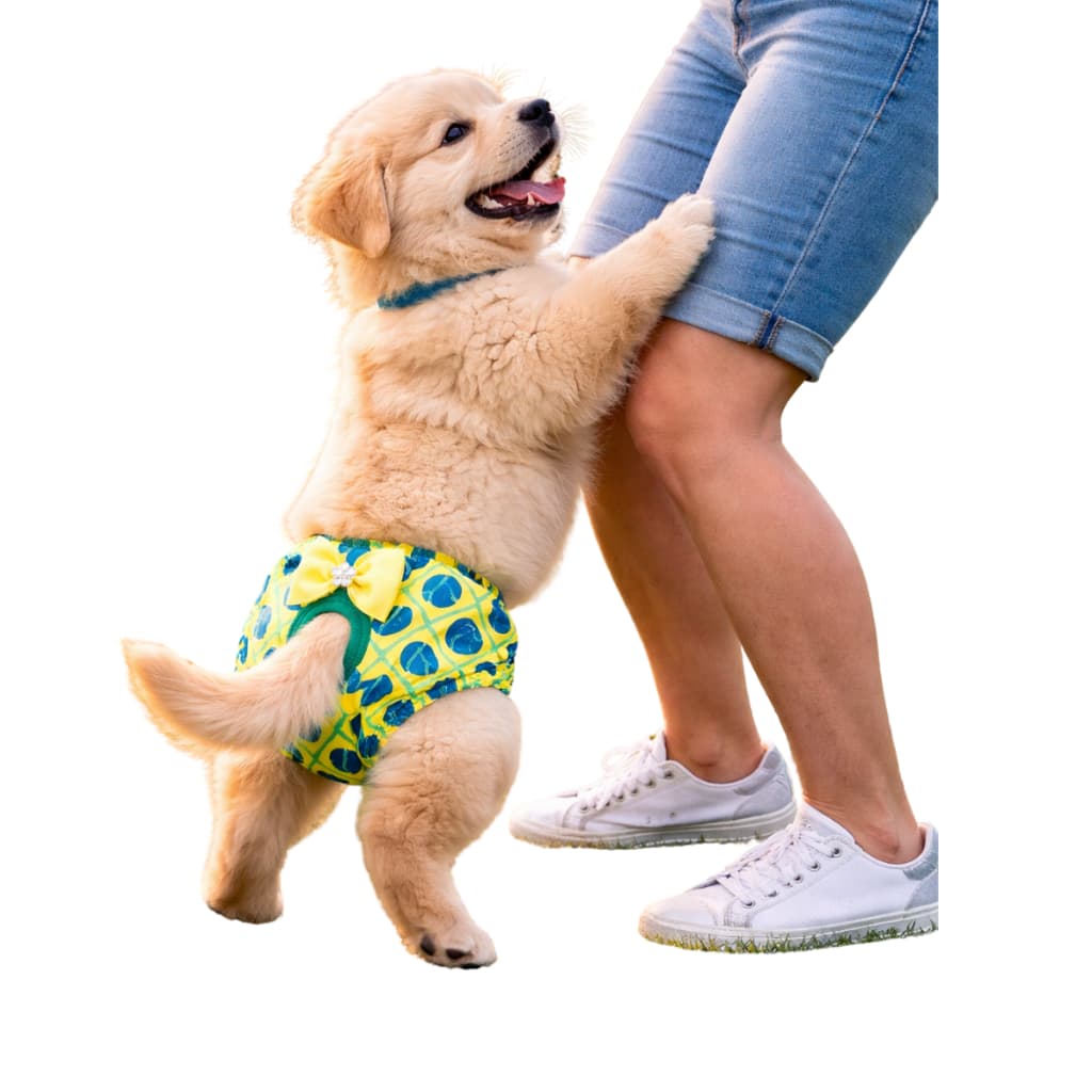 Calcinha Pet Higiênica Basil  Copa Cães Gatos Pós Cirúrgica, Cio, com porta Absorventes