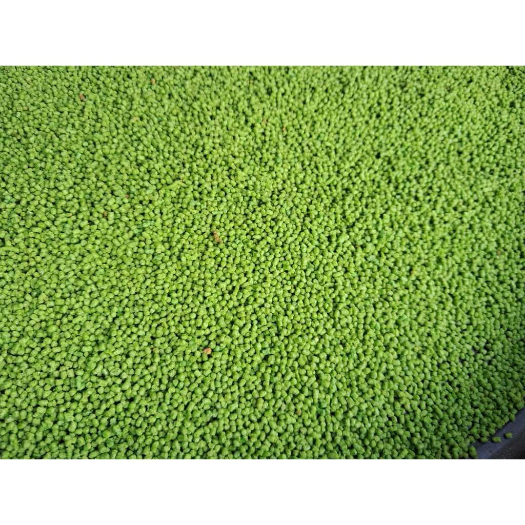 Racao Green Umidecer Germinativa Extruzada Oleos Essenciais Palatatavel Vitaminas 5kg