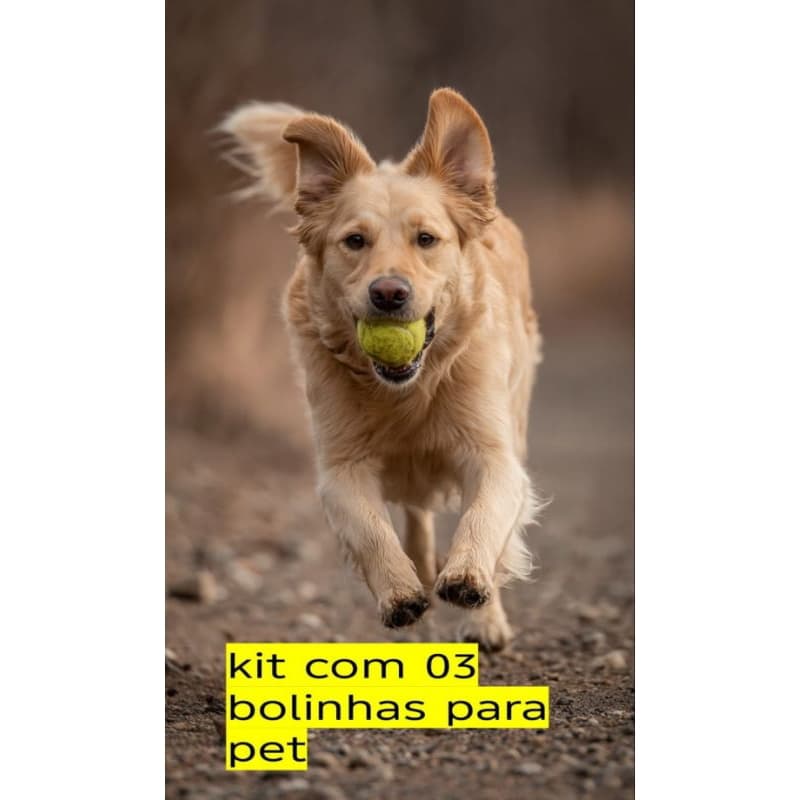 kit 03 bolas de tenis macias e resistentes para pet brincar e treinamento de canil ou jogar tenis com bolinha de tenis