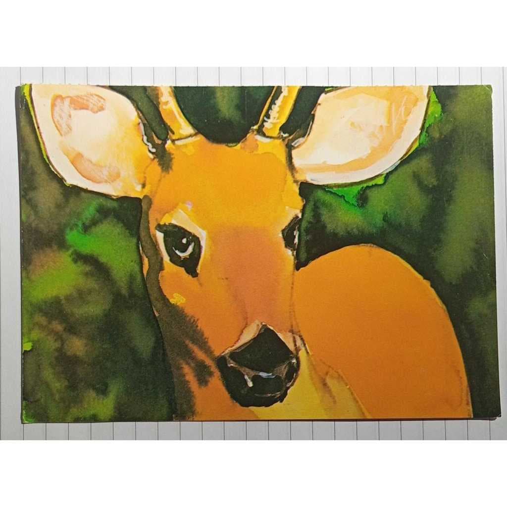 Cartão Postal Veado Galheiro Educativo Abril Cultural “Seja Amigo dos Bichos”