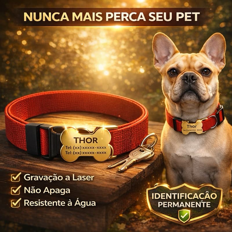 Coleira Para Cachorro Personalizada no Fecho - Não Incomoda - P/M/G Identificação Nome e Telefone